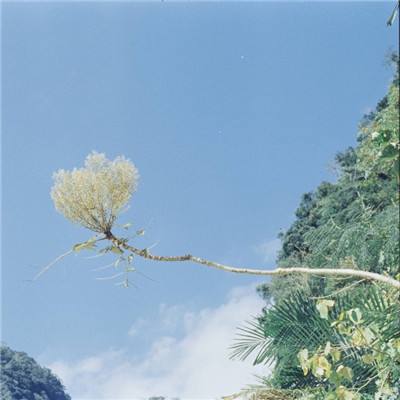 豪侠挂机安卓下载
