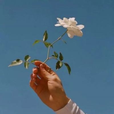 三国的后裔变态版下载